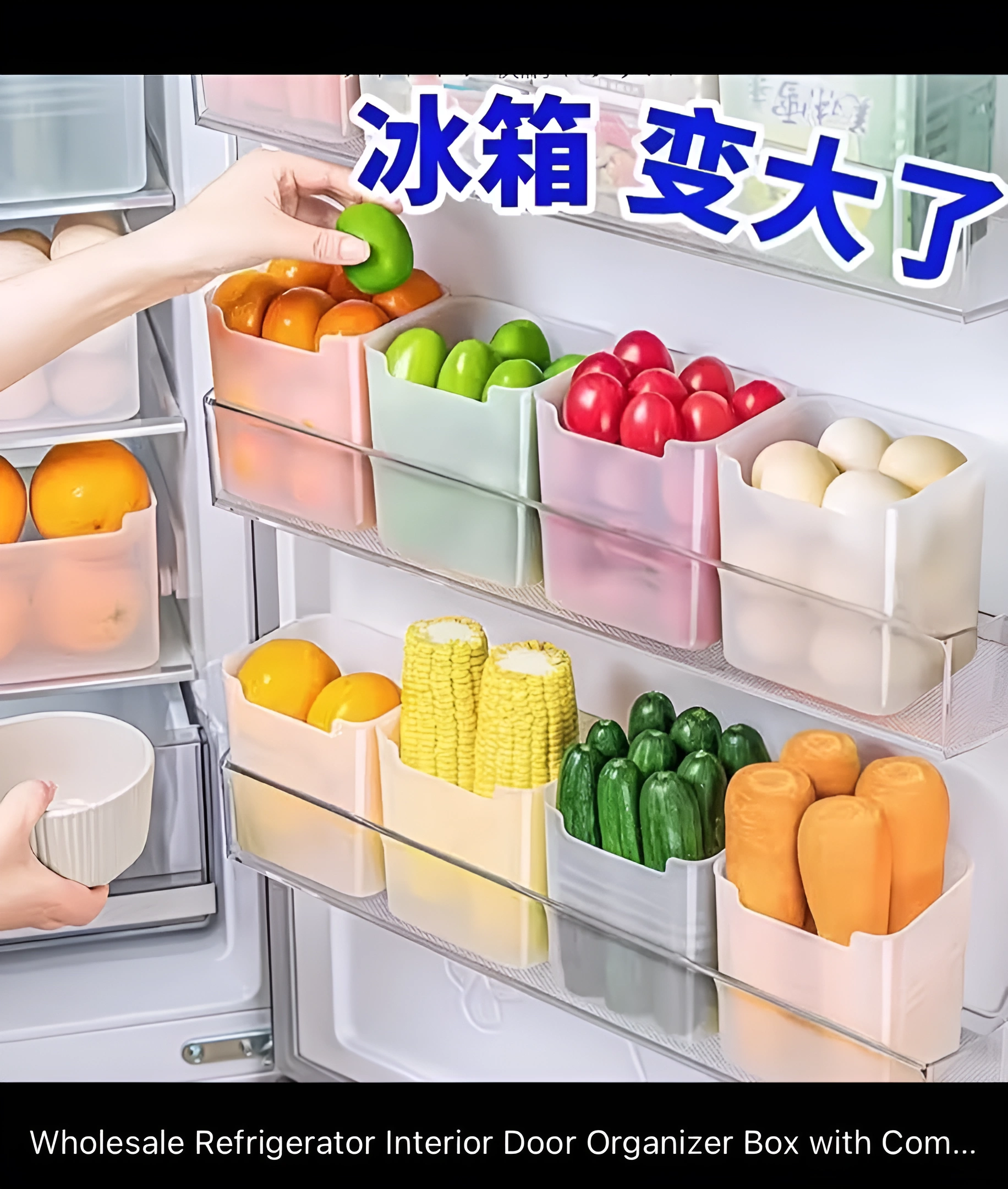 Refrigerator Door Storage & Organizer Bins